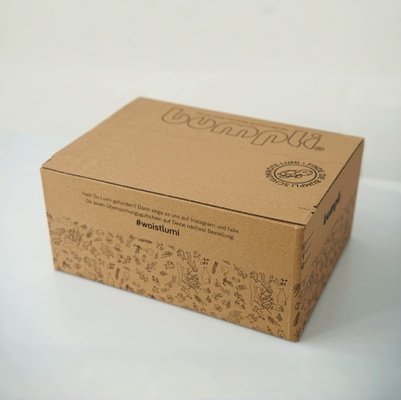 Caixa de cartão de fecho, caixa corrugada personalizada para roupas.